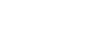 Logo du SYDNE